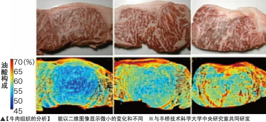 【牛肉组织的分析】能以二维图像显示微小的变化和不同　※与丰桥技术科学大学中央研究室共同研发