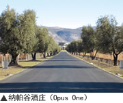 纳帕谷酒庄（Opus One）