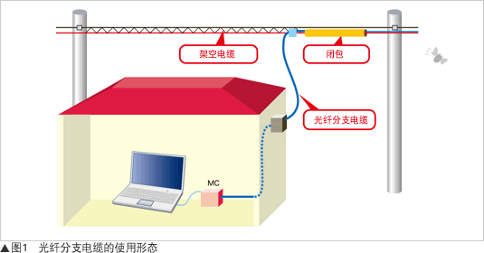 图1：光纤分支电缆的使用形态