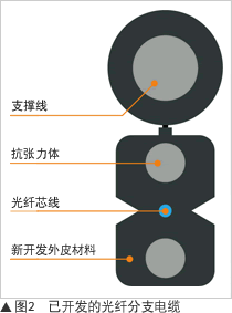 图2：已开发的光纤分支电缆